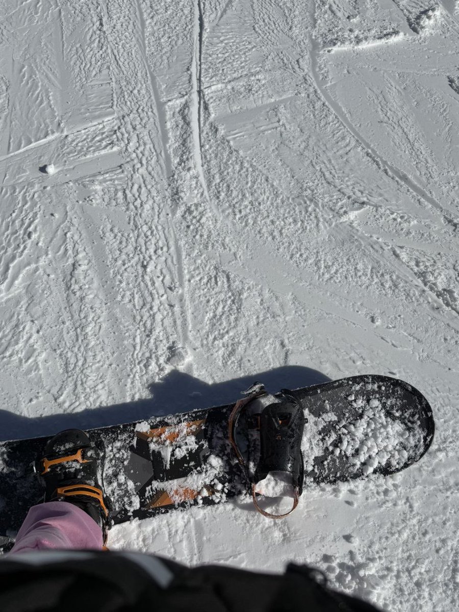 🌷🎀 ℒ𝒾𝓁𝒾𝒶𝓃ℯ 🎀🌷 tweet media