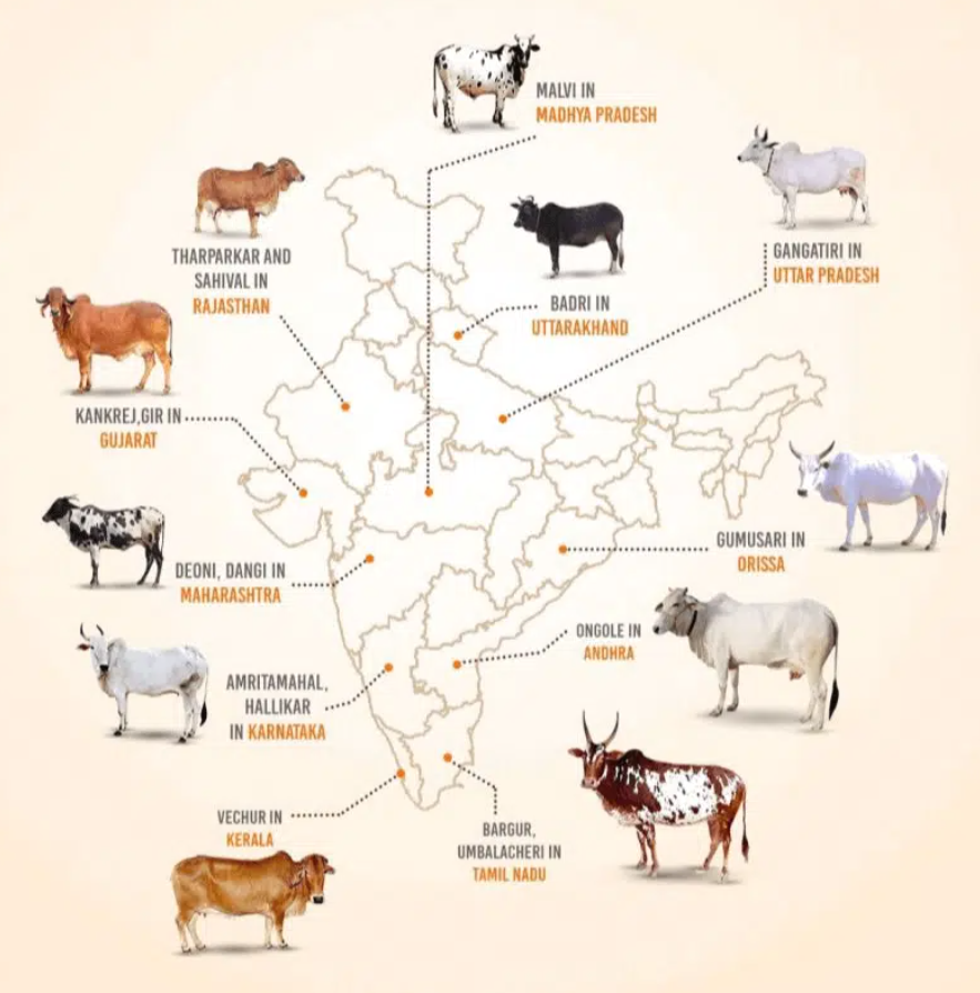 Civil Learning tweet media