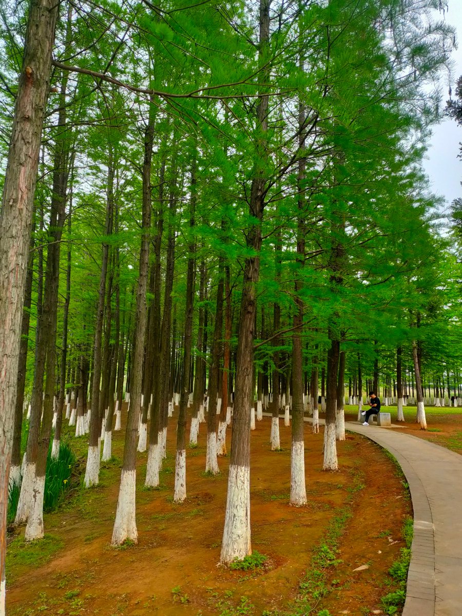 Darlene Nealy tweet media