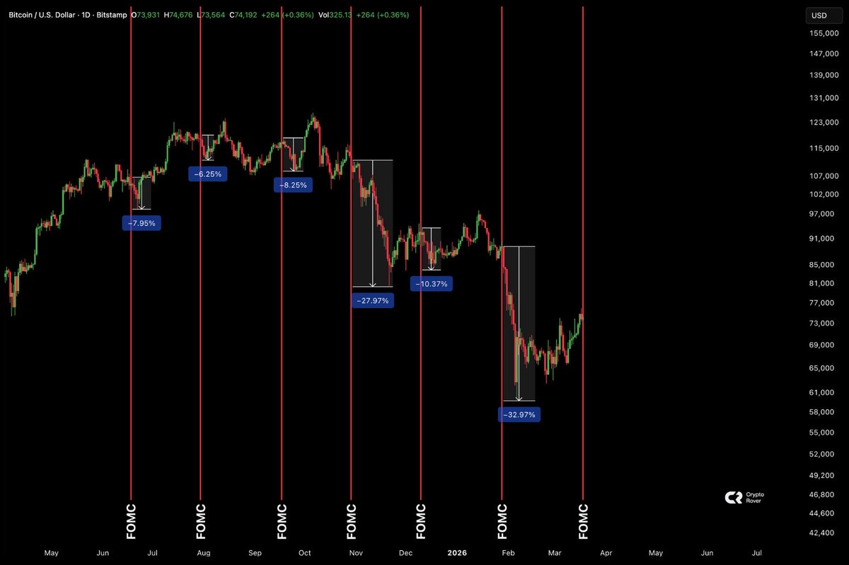 Copacabana 🌴🐋 tweet media