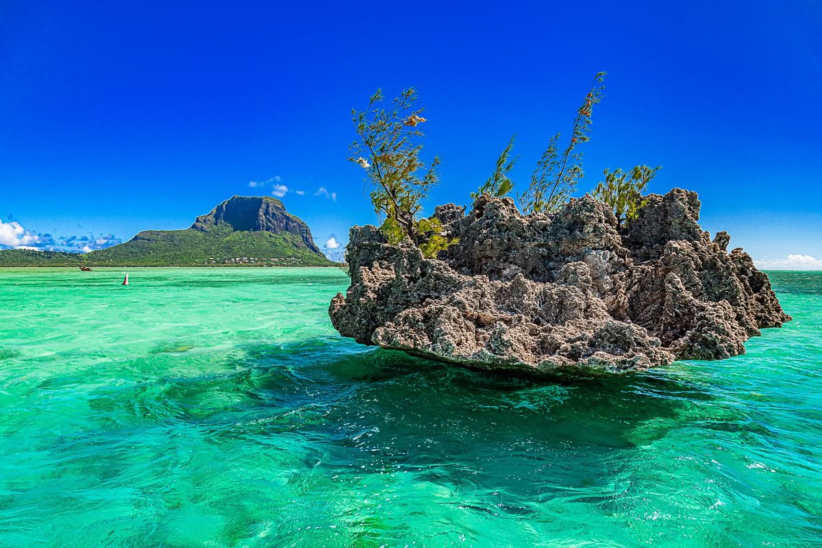 Mauritius Island tweet media