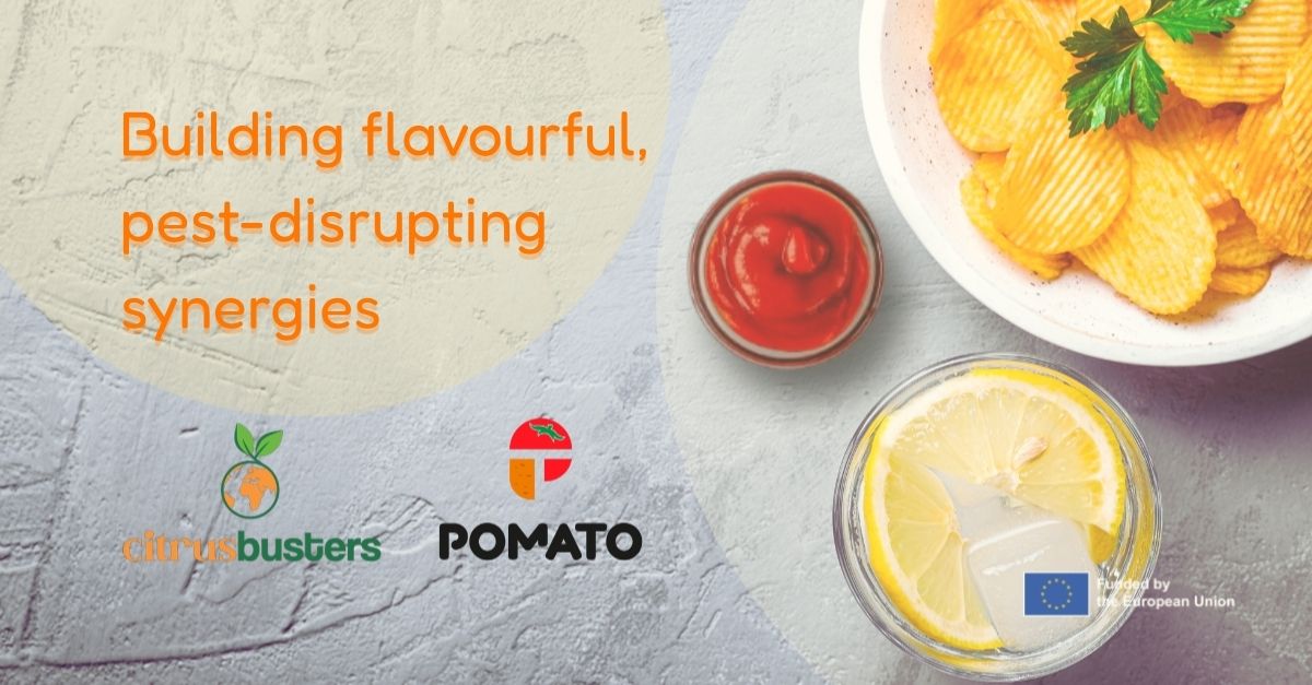 POMATO project tweet media