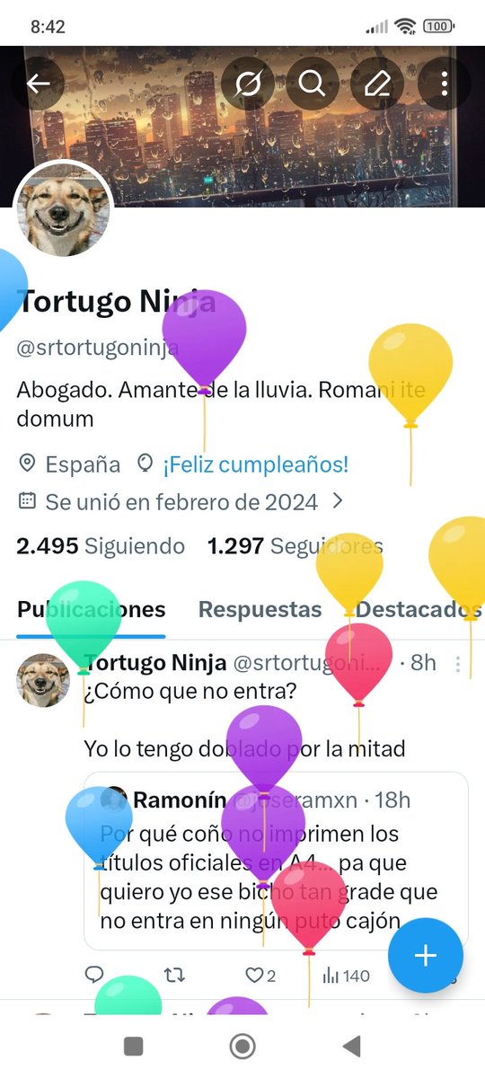 Tortugo Ninja tweet media