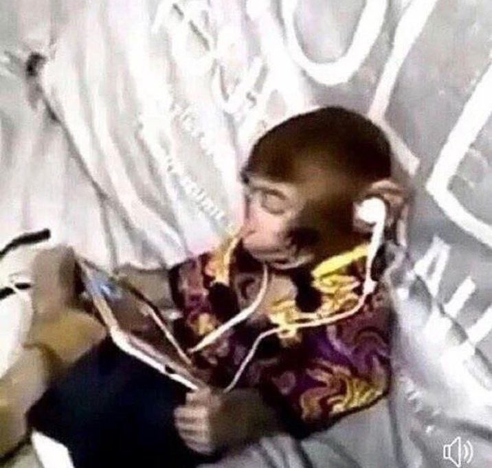 andrea ⋆ tweet media