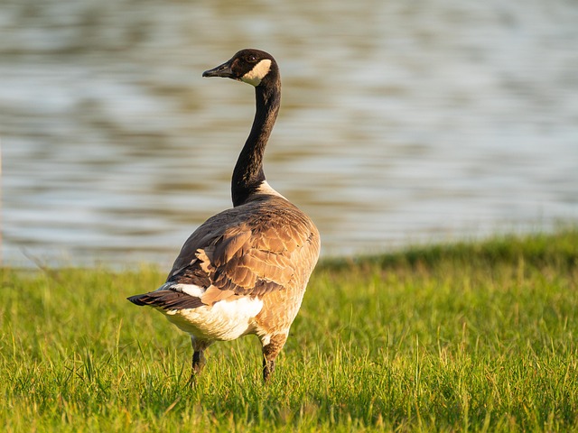 Mary Fernandez tweet media