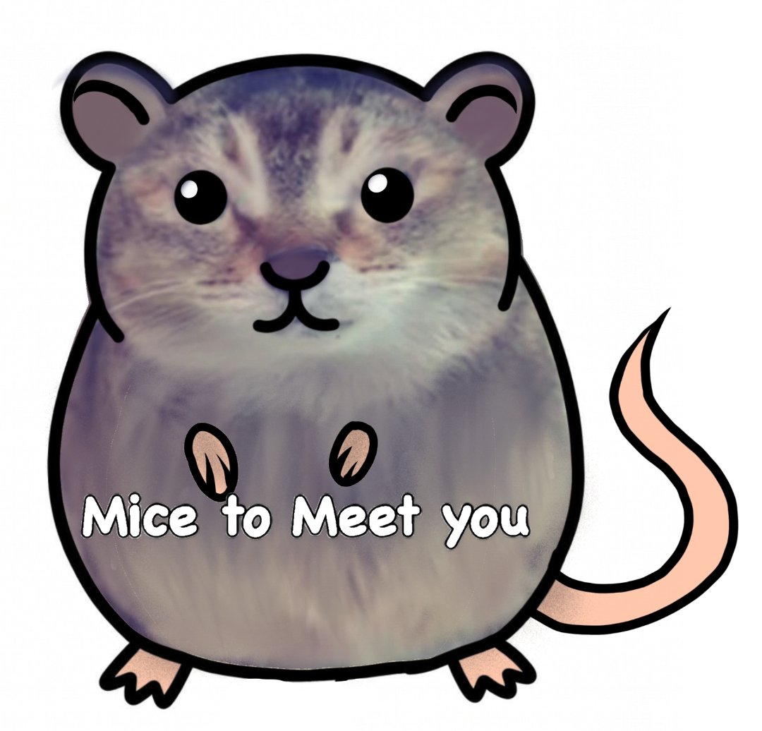 Mice to meet you