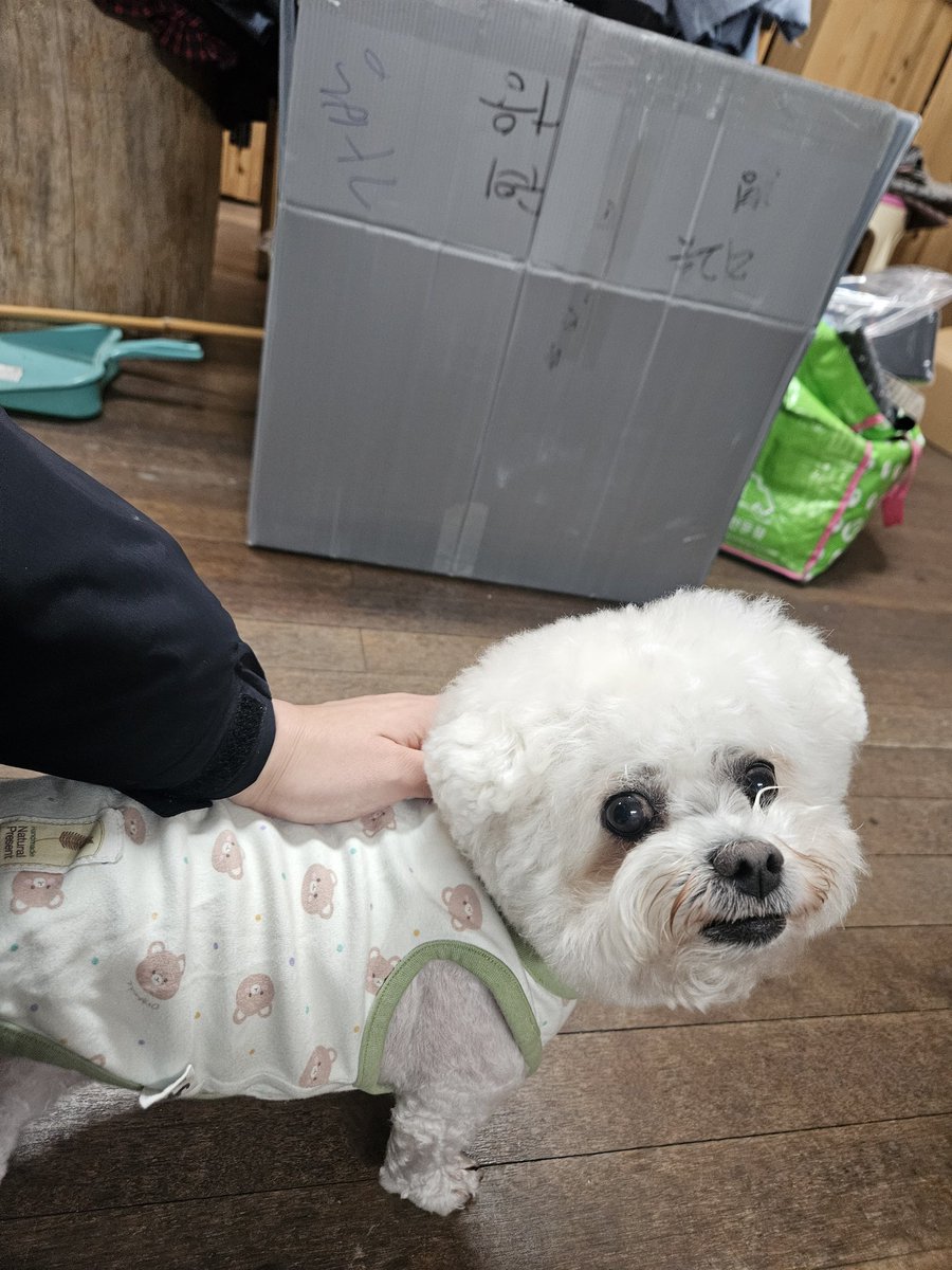 🕯임시 김꿍까🎗 tweet media