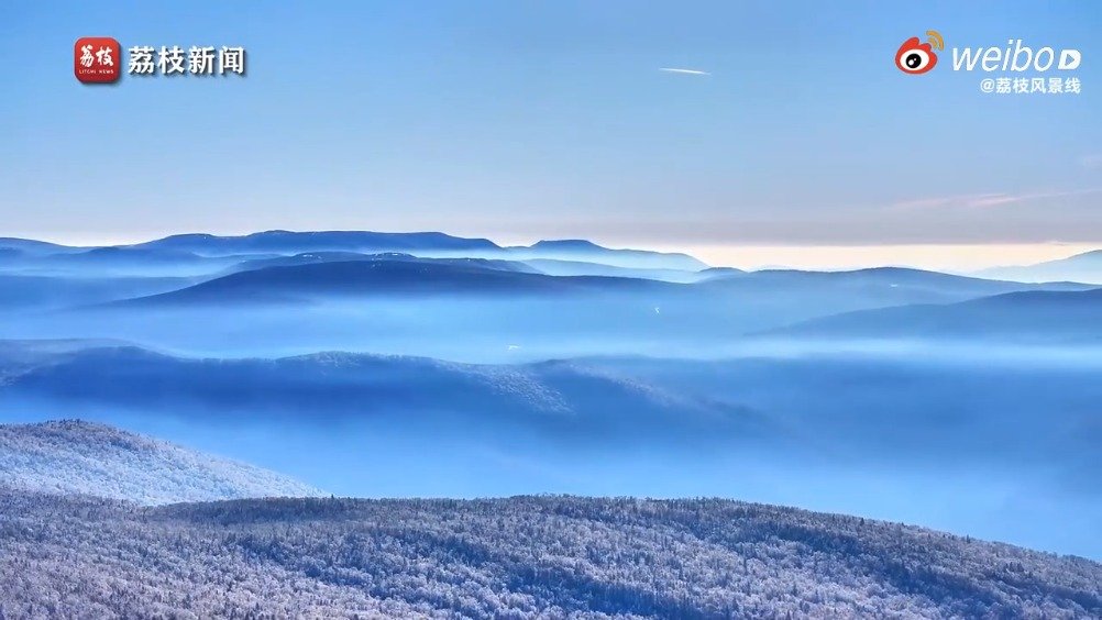 Anna Shaw tweet media