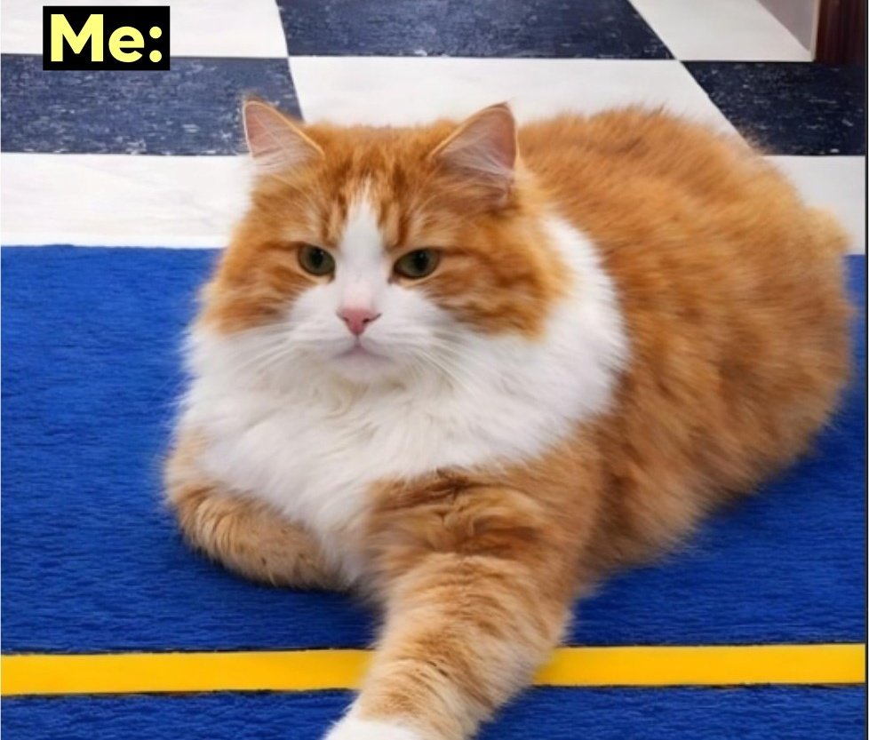 Them: Don't cross the line 🙄