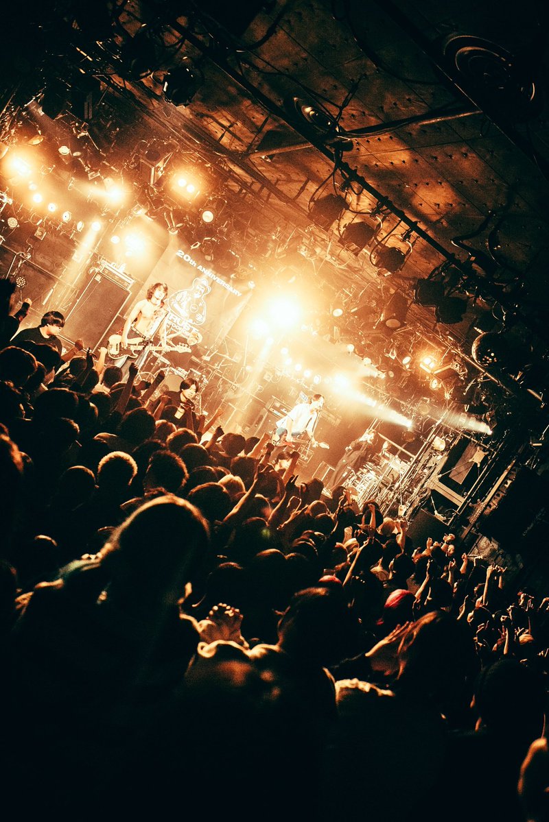 May Forth tweet media