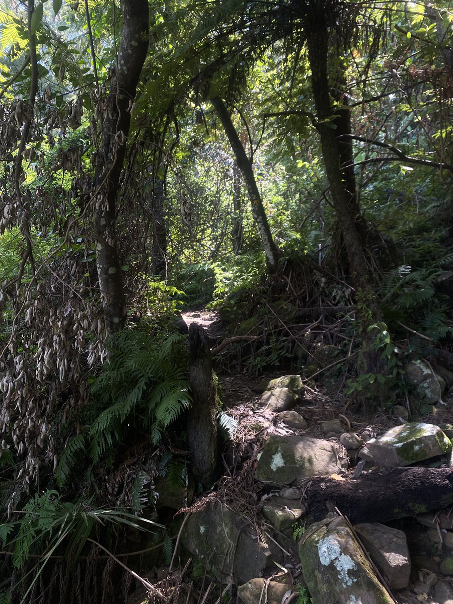 aj エイジェイ tweet media