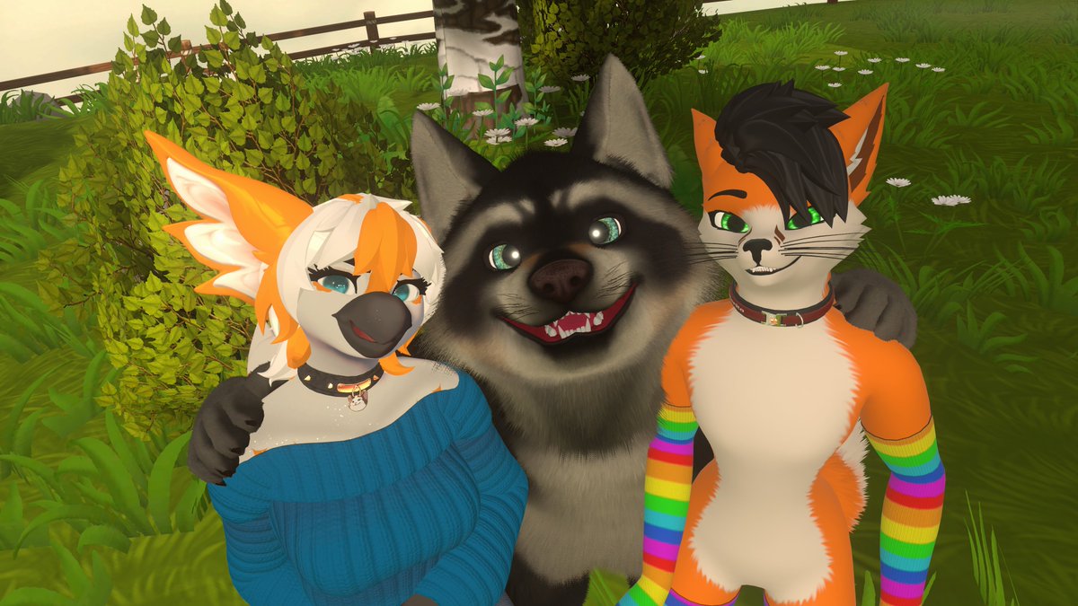 FoxSerito tweet media