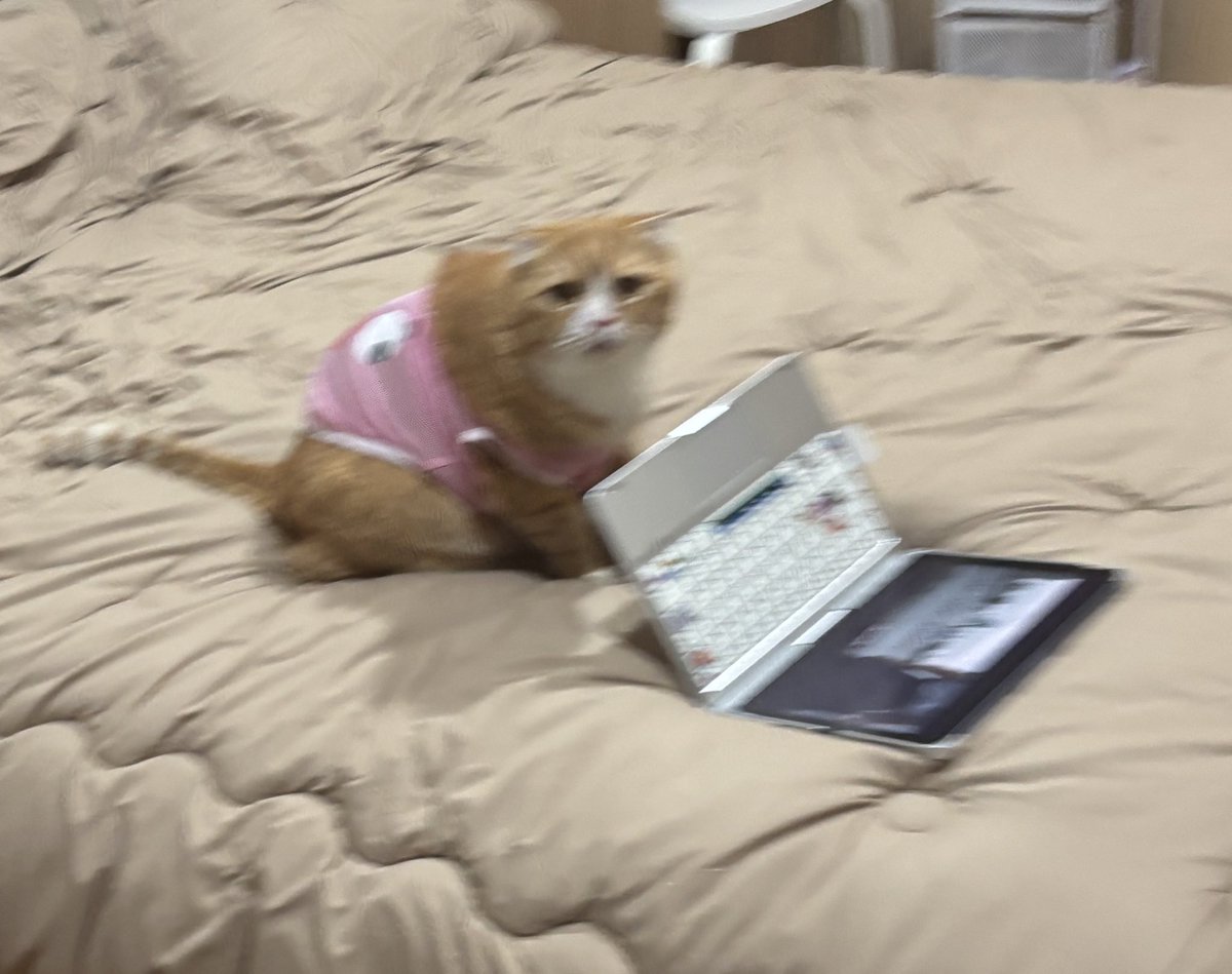 พี่รีน tweet media