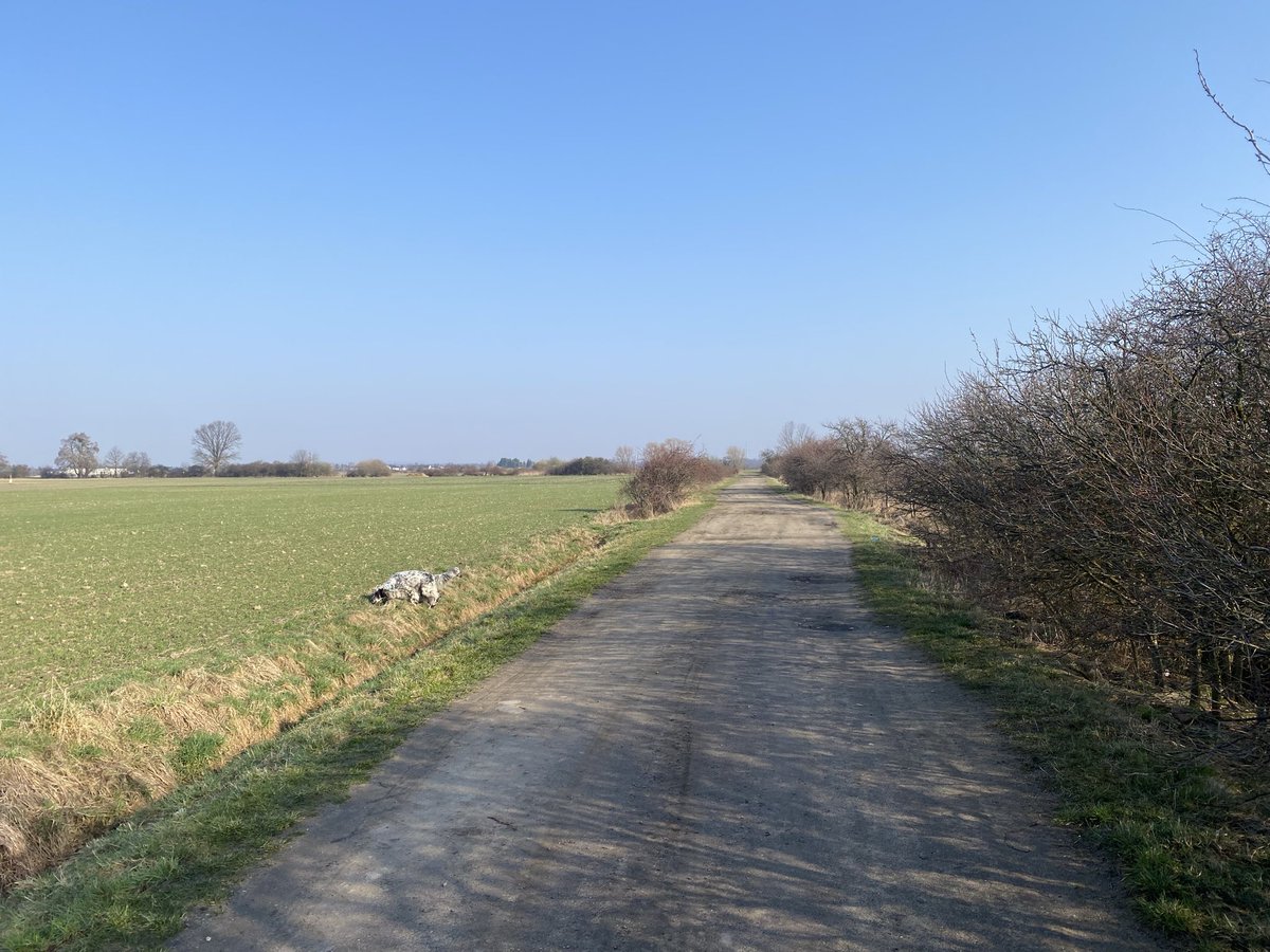 Marcin Dudek tweet media