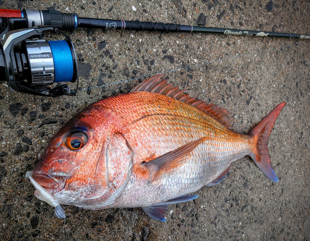 横山創万(そうま) tweet media