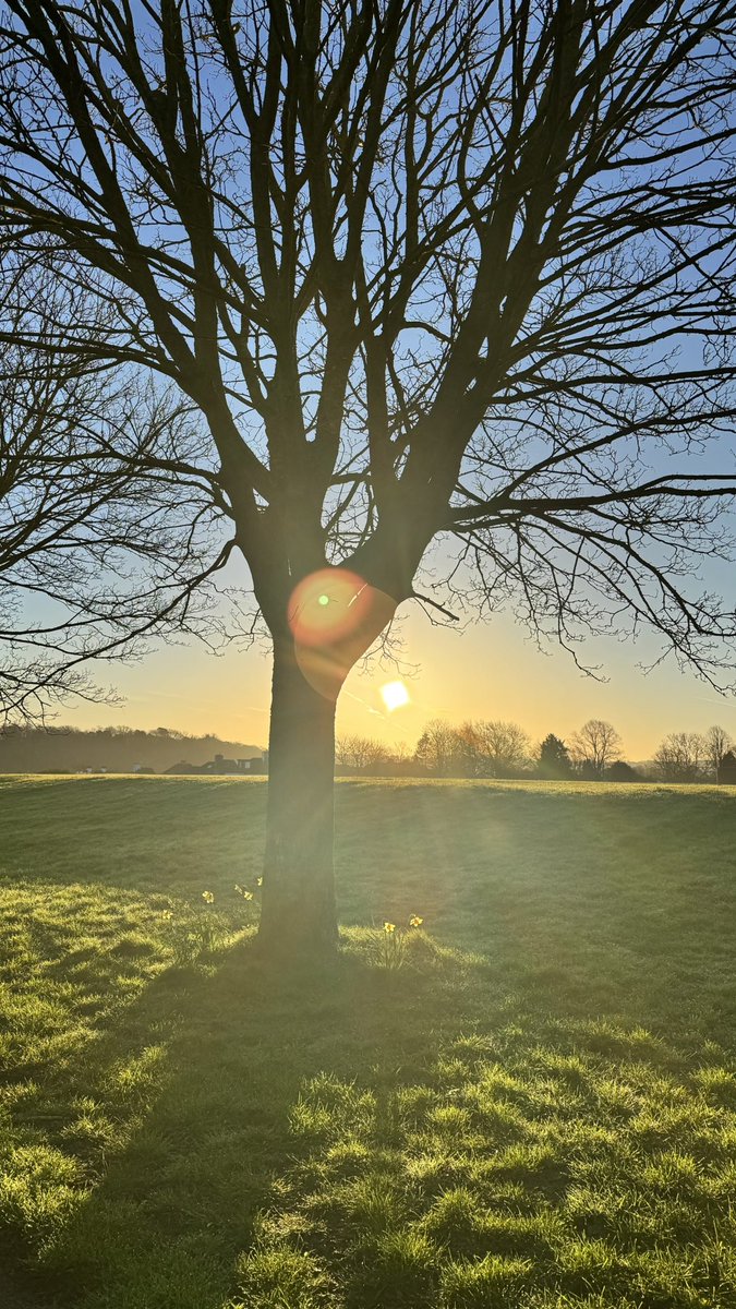 🧜‍♀️Bec🍩 tweet media