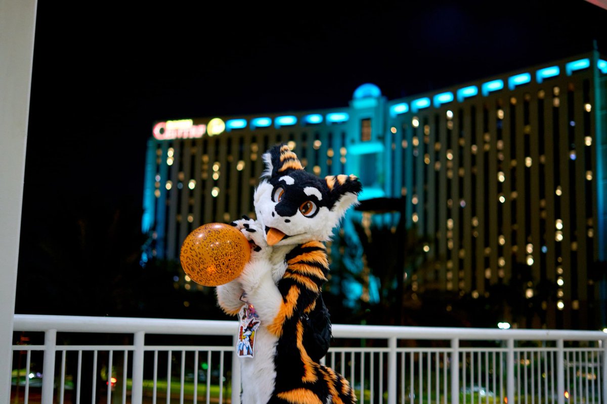 LightOfSolaris 🔜 FWA tweet media