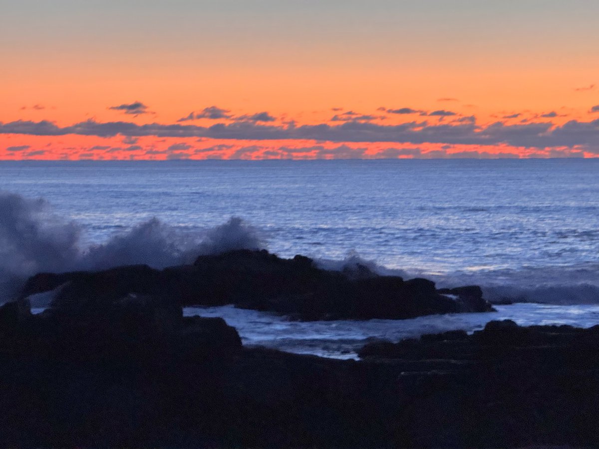 Realtor Rick 💙 tweet media