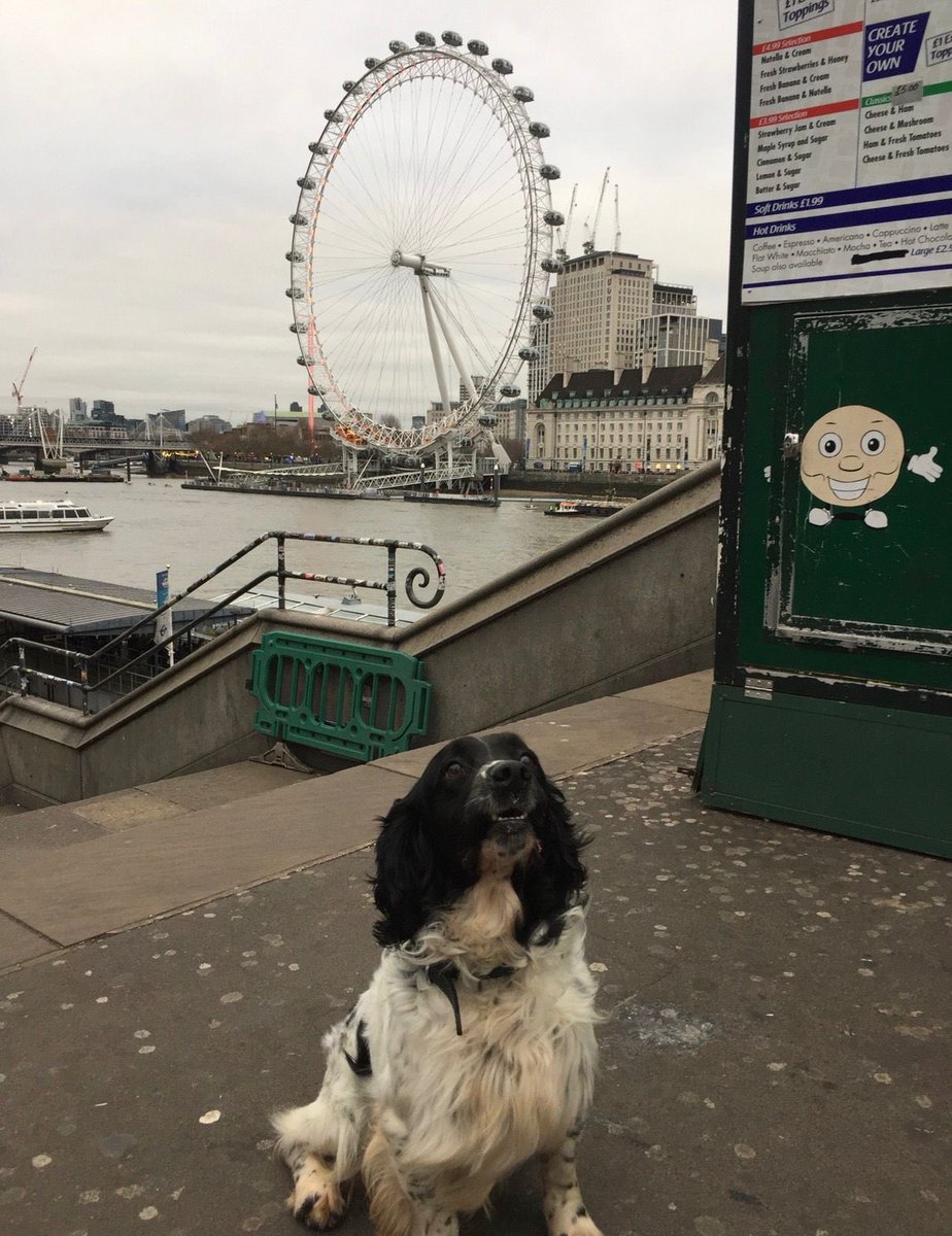 London Retired Police Dogs Trust tweet media