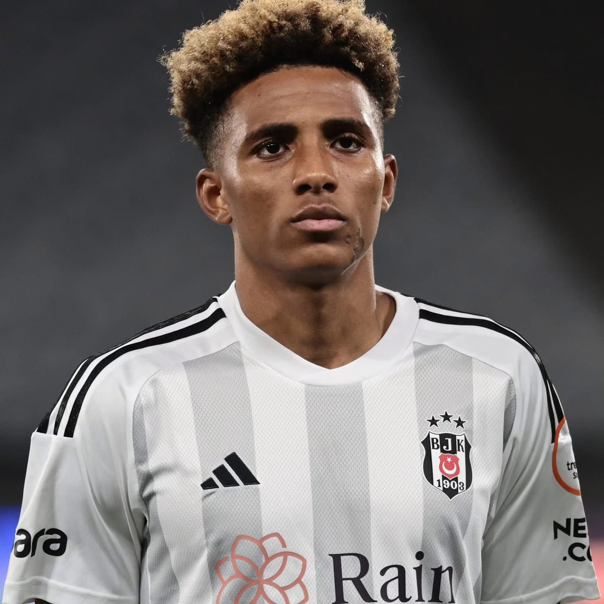 Beşiktaş Haber Portal tweet media