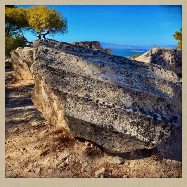 Caroline Fourgeaud-Laville tweet media