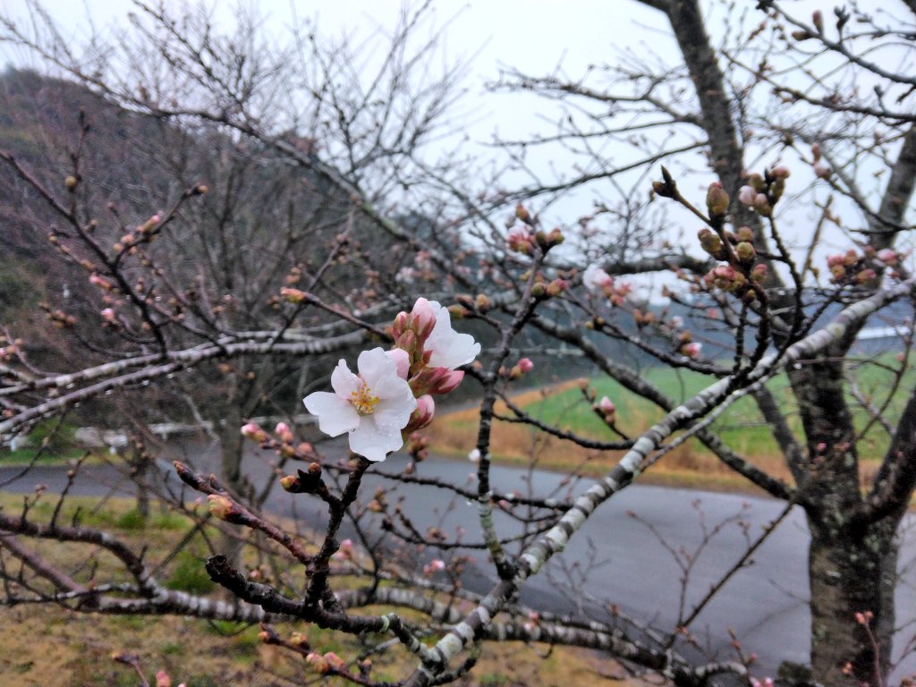 にしき ひみつ基地ミュージアム【公式】 tweet media