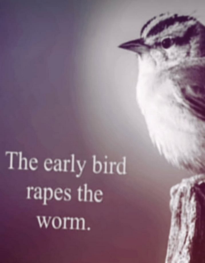 AliceSufferer🌲🇪🇪 tweet media