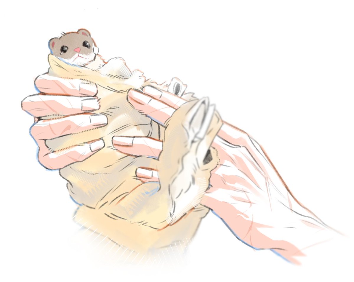 minatu 🖤🤍 tweet media