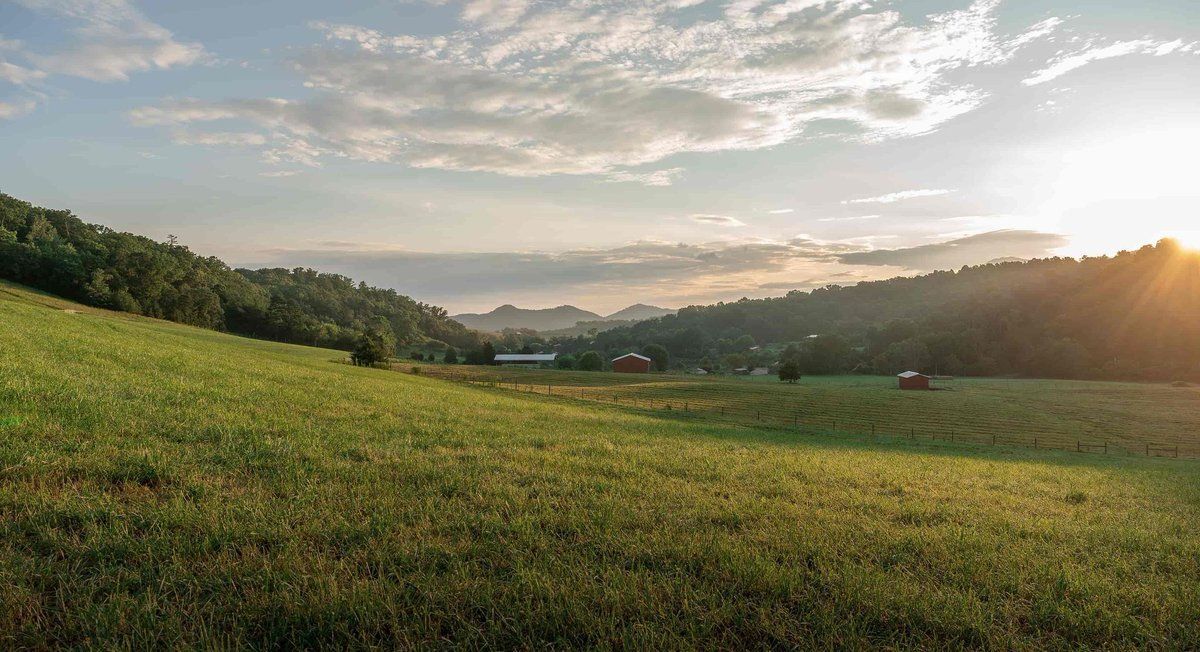 Old Curmudgeon Music Geek 🎶🎸🤓 tweet media