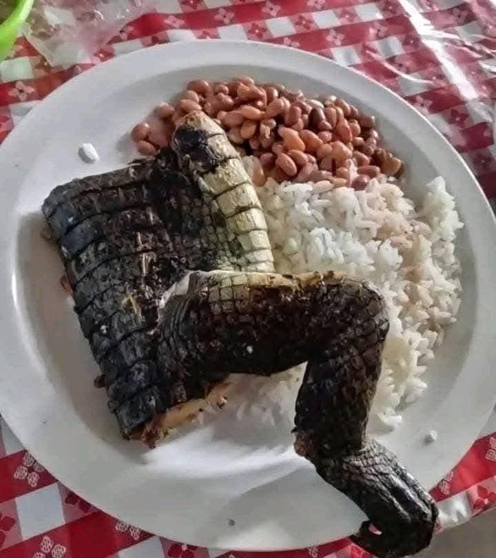 DOLLAR BOSS tweet media