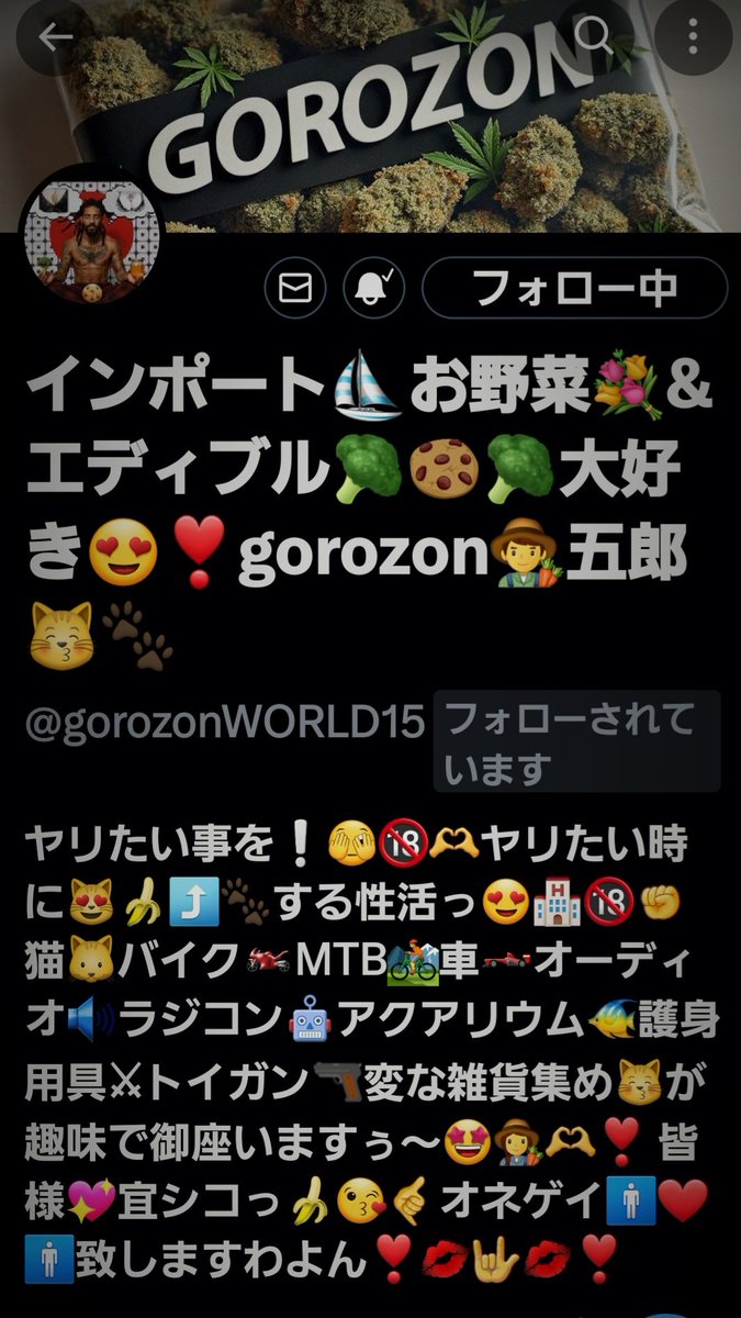 Stephen30CurryG's tweet photo. つぃったーno.1🏆️brand🇺🇸
👑🇺🇸gorozonbrand🕺💃🏻
🧑🏽‍🌾👩🏽‍🌾別格ﾁｰﾄお野菜🇺🇸🔥

ごろぞん🏪💳️せずに🛩️🇺🇸
ｽﾄﾅｰ😈🔥👌💨
　　語れねーよ🌋🦾👸🏼👸🏽

#世界のごろぞん
#ごろぞんしすてむ
#ごろぞんedible https://t.co/WaDaw31hl7