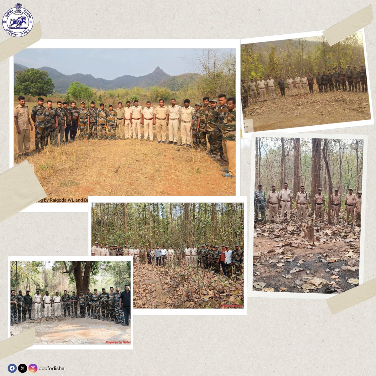 PCCF & HoFF Odisha tweet media