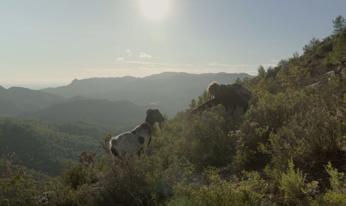 TerresdeMestral's tweet photo. Un #ProducteLocal excepcional,apostant per la pastura lliure🐐 i aquestes #panoràmiques imponents...😍
Sabeu la gran feina contra incendis que fan els ramats?😏💚
Foto: #Atticlabvisuals
#ProducteDeProximitat
#ProductedeQualitat
#DelCampATaula
#TerresDeMestralTerresDeSabors https://t.co/RqXDPa0yho