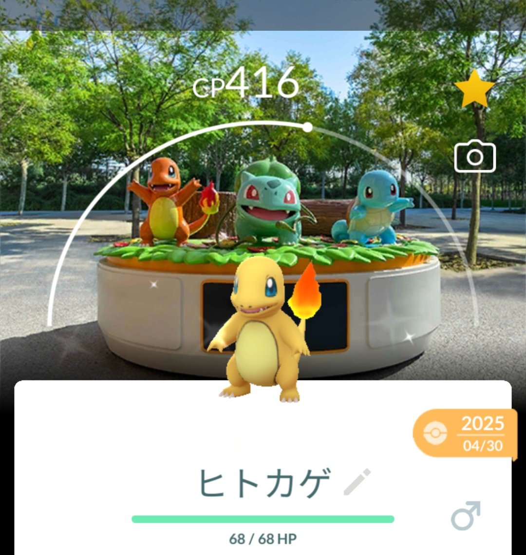 ピカピ tweet media