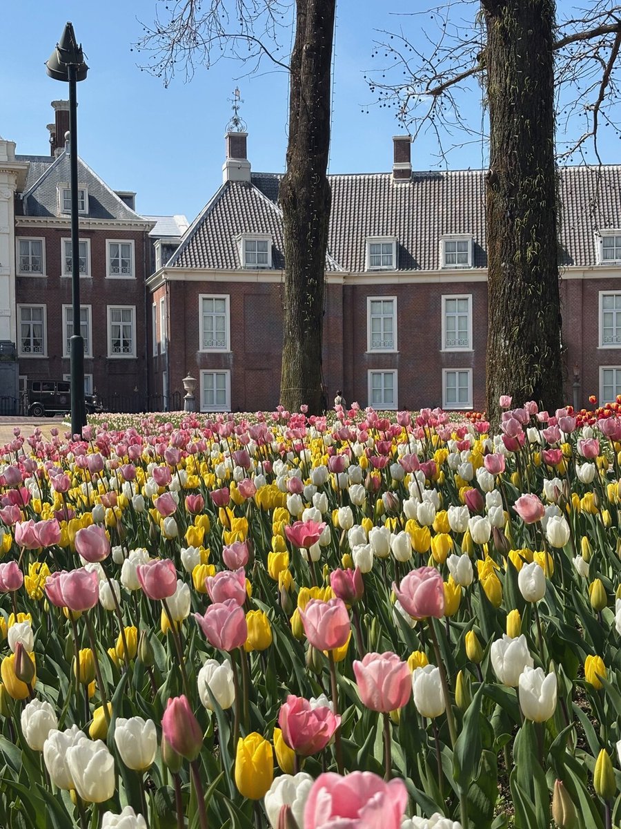 ハウステンボス公式 tweet media