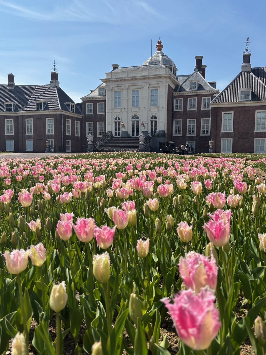 ハウステンボス公式 tweet media