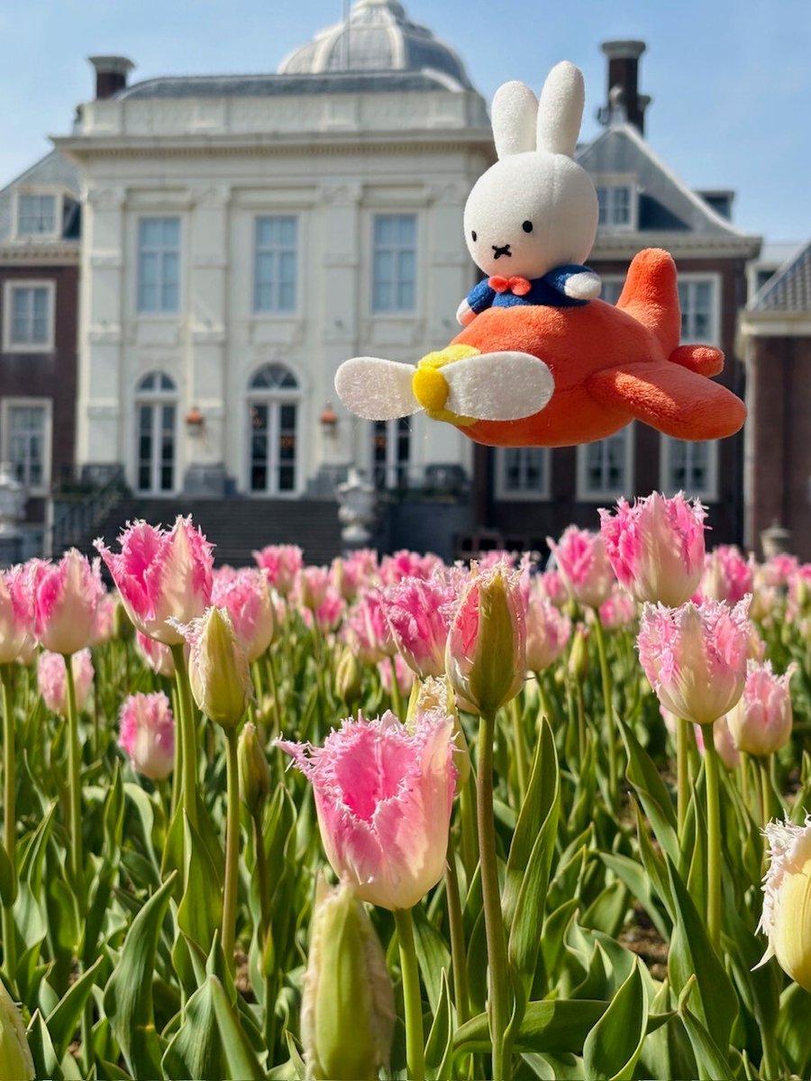 ハウステンボス公式 tweet media