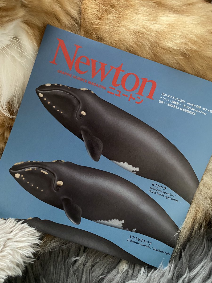 薬袋摩耶 tweet media