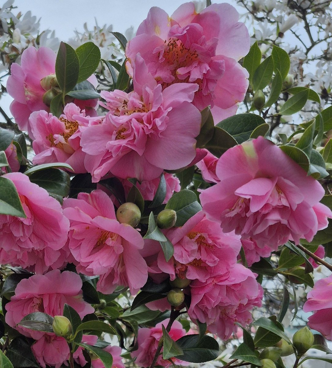 Peter Beard tweet media