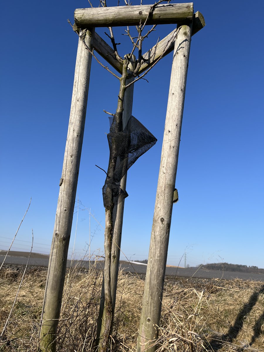 Honza Kačer tweet media