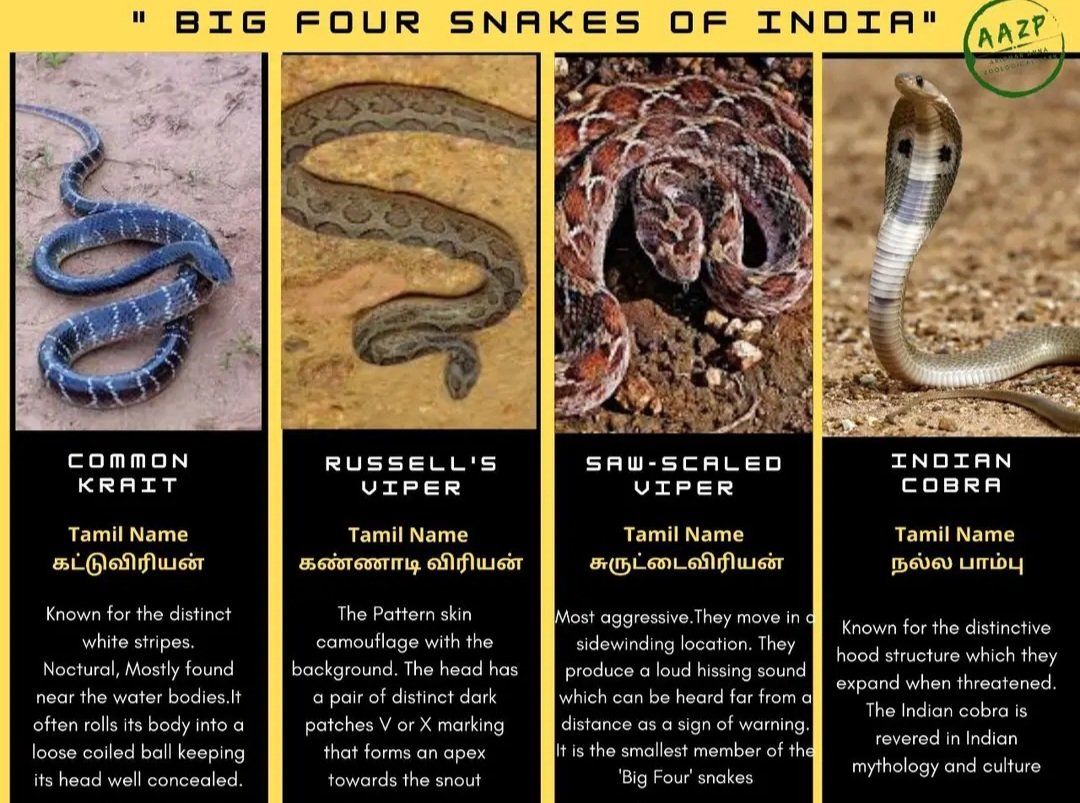 Vishal Mp tweet media