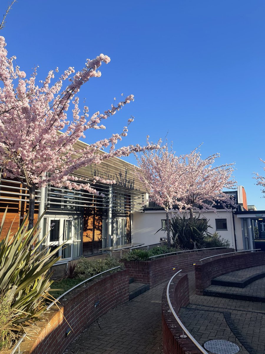 Mark Avoth tweet media