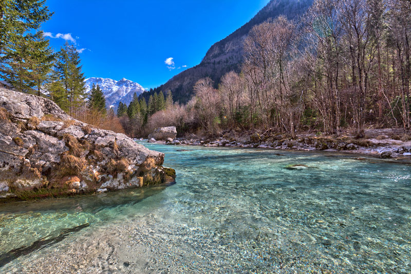 Jutta Streicher 🕊️ tweet media