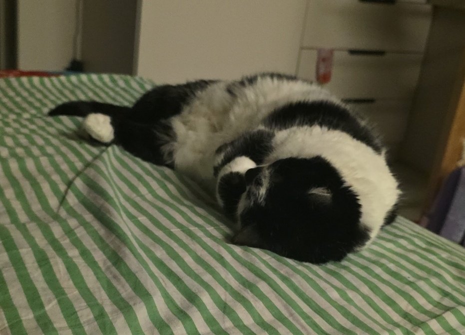 cuda barra tweet media