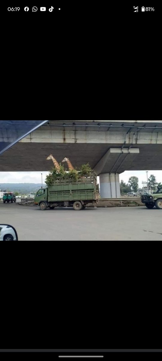 Wamūtīrī🇰🇪 tweet media