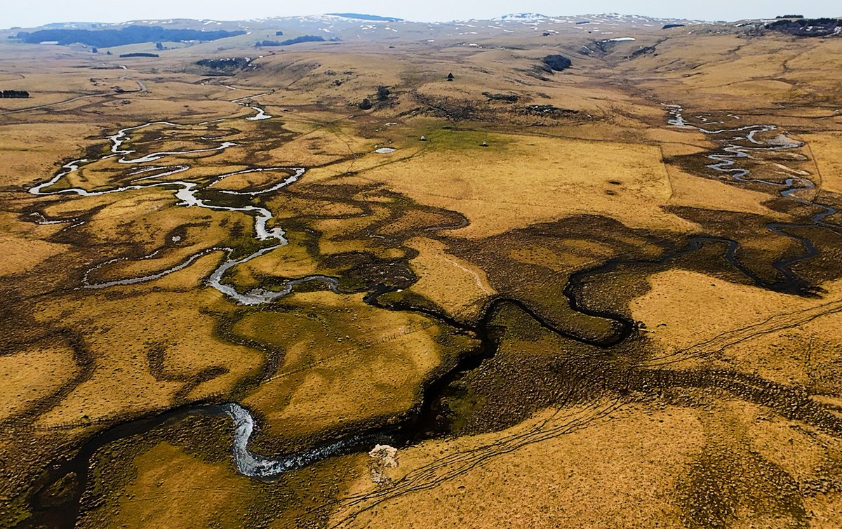 Bonjour d'Aubrac
Photo Denis Saint-Jean