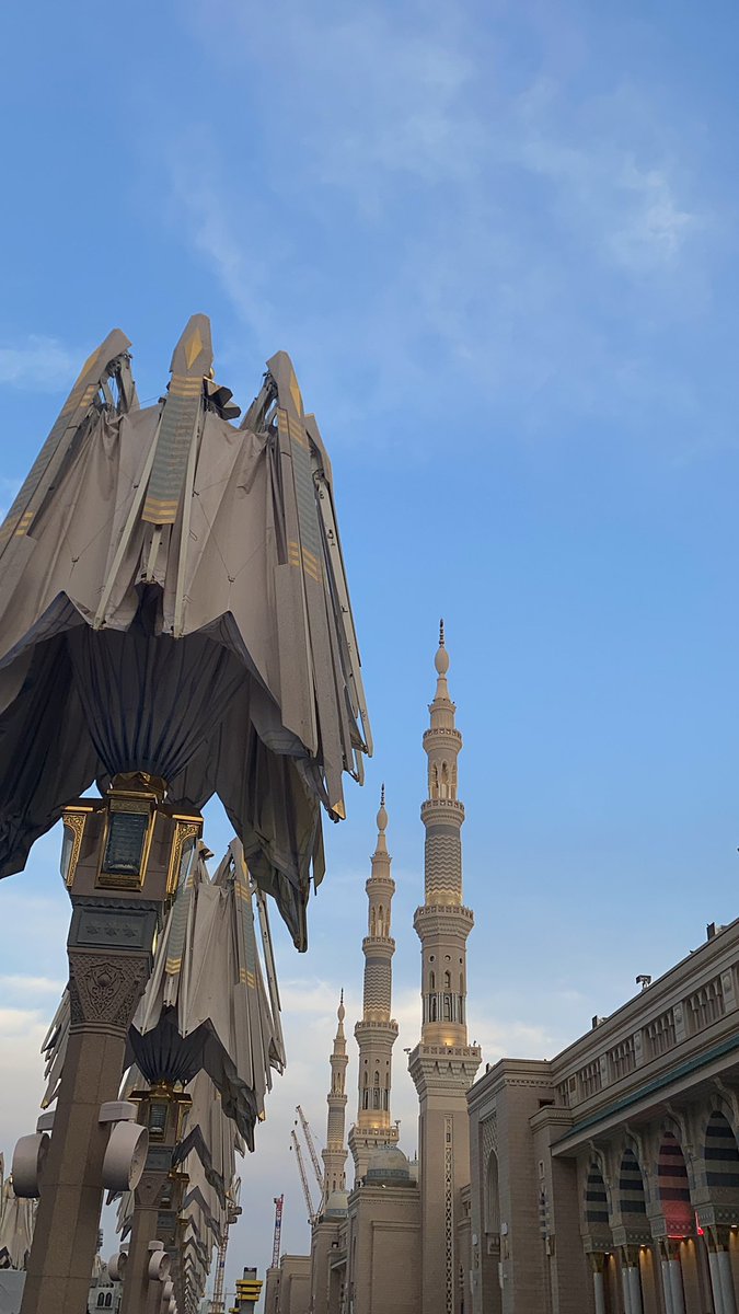 Ghadeer 𐙚 tweet media