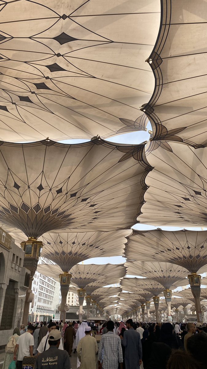 Ghadeer 𐙚 tweet media