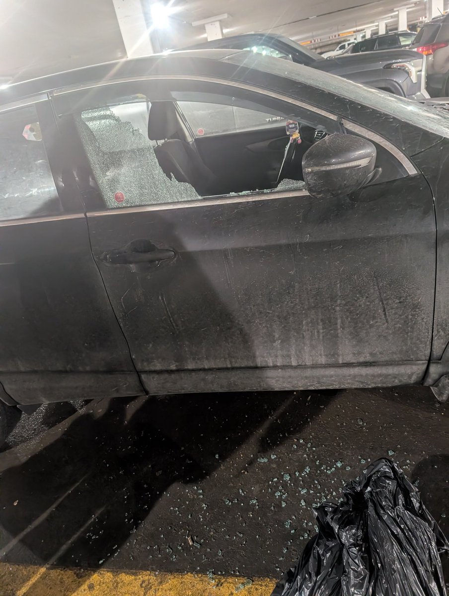 LadyLimes tweet media