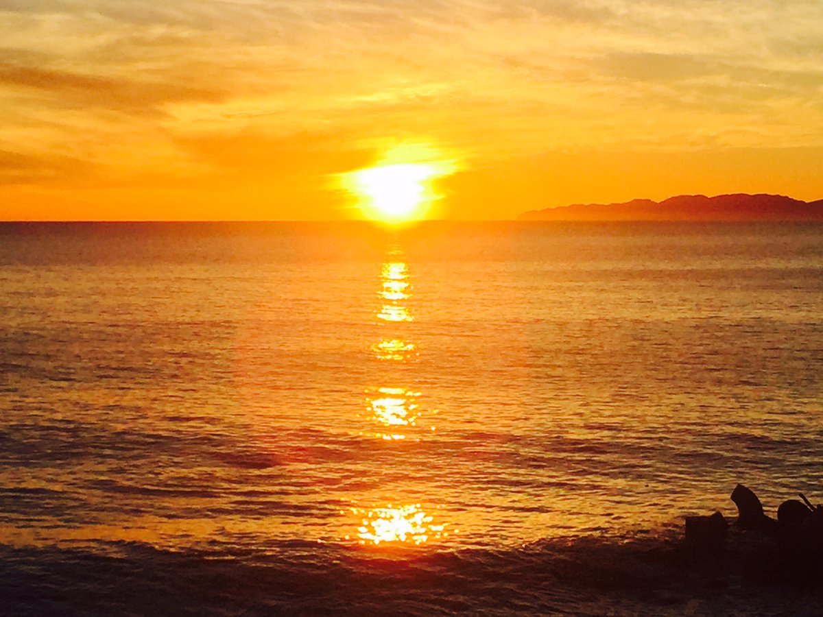 JAF_PLUS_Tokyo tweet media